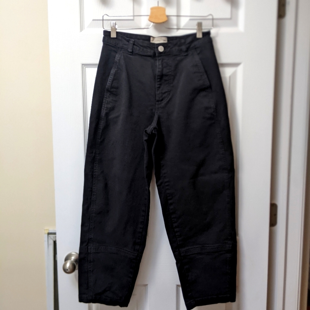 Everlane Black Barrel Pant